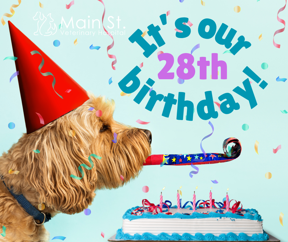 It's our 28th birthday!